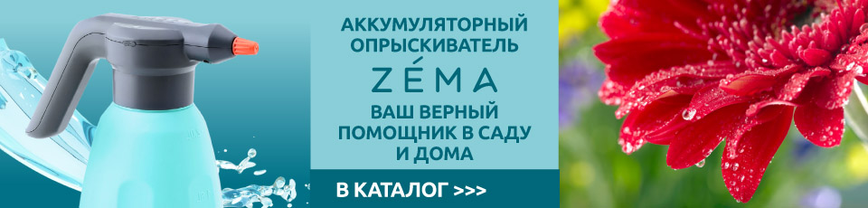 Сеедпост Интернет Магазин Каталог На 2022 Год